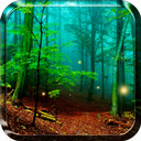 Forest Live Wallpaper на андроид