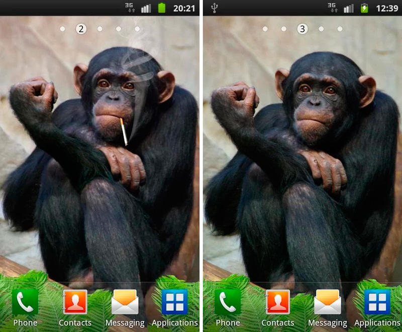 Скриншот Забавная обезьяна живые обои на андроид