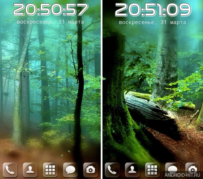 Скриншот Forest Live Wallpaper на андроид