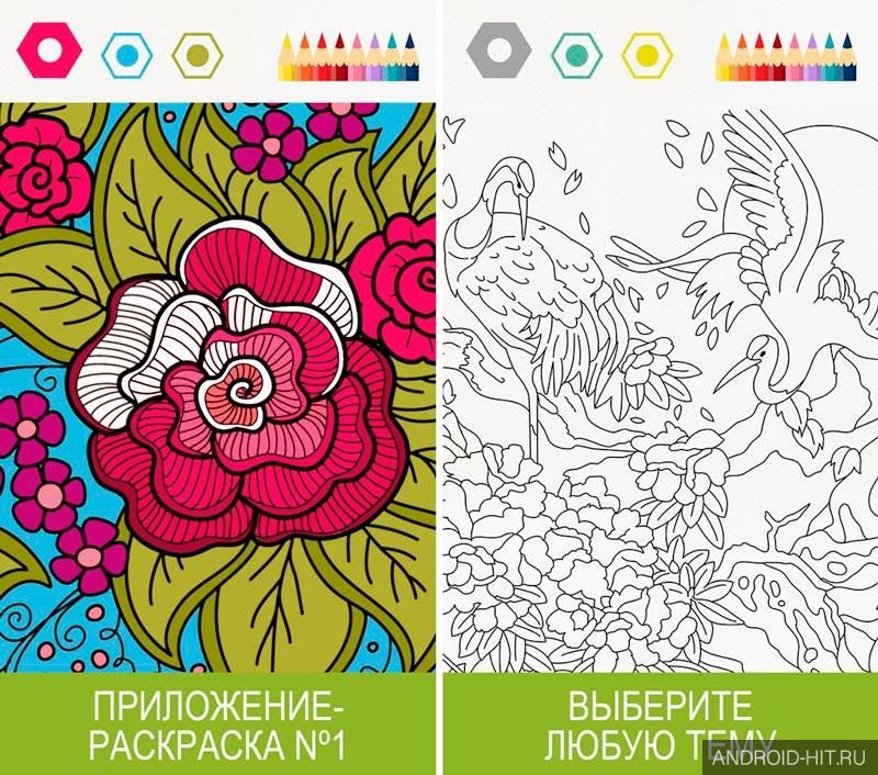 Скриншот Colorfy — бесплатная раскраска на андроид Скриншот Colorfy — бесплатная раскраска на андроид