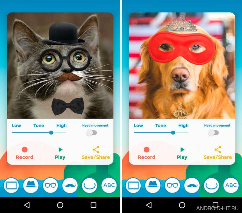 Скриншот My Talking Pet на андроид