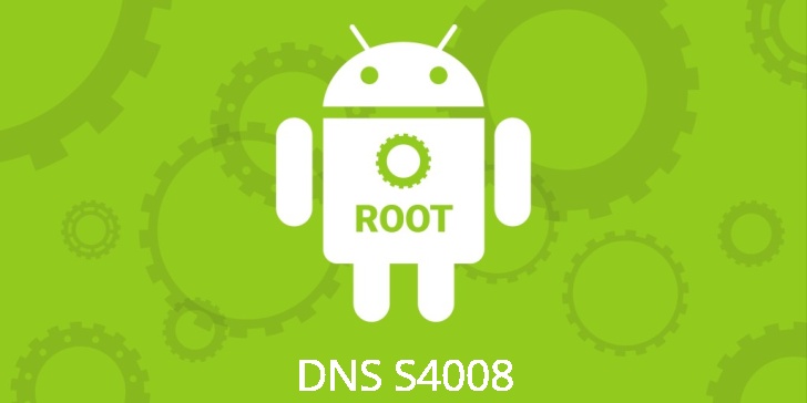 Рут для DNS S4008