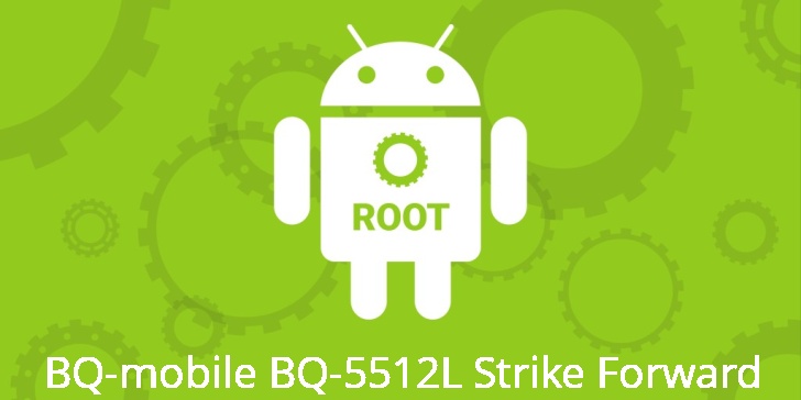 Рут для BQ-mobile BQ-5512L Strike Forward
