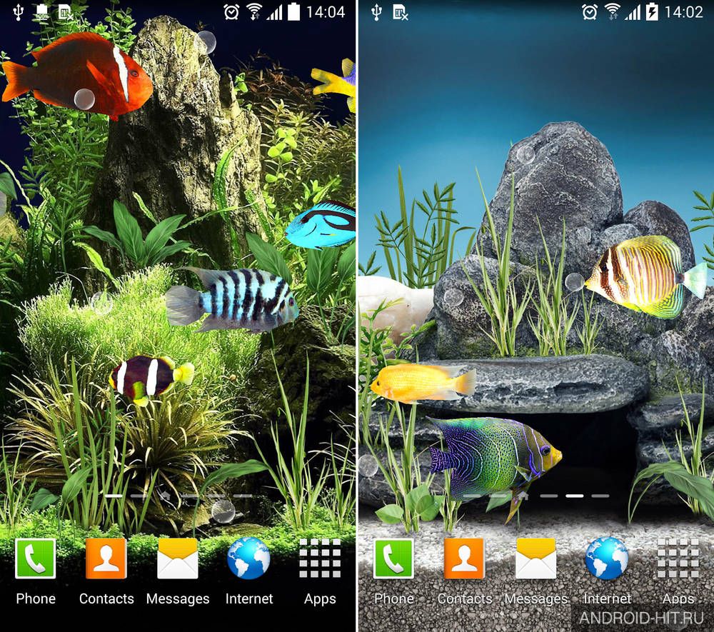 Живые аквариумы на телефон. Живые обои. Живые обои аквариум. Живые обои аквариум для андроид. Аквариум скрин.