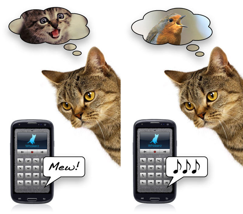 Скриншот Переводчик на кошачий на андроид
