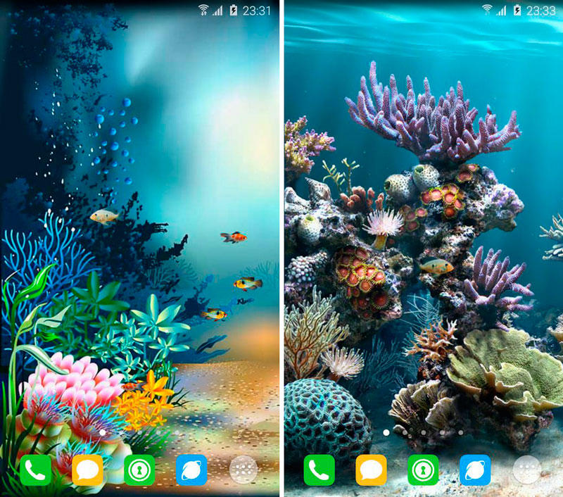 Скриншот Подводный мир обои на андроид