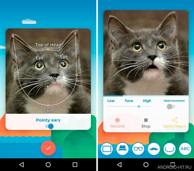Скриншот My Talking Pet на андроид