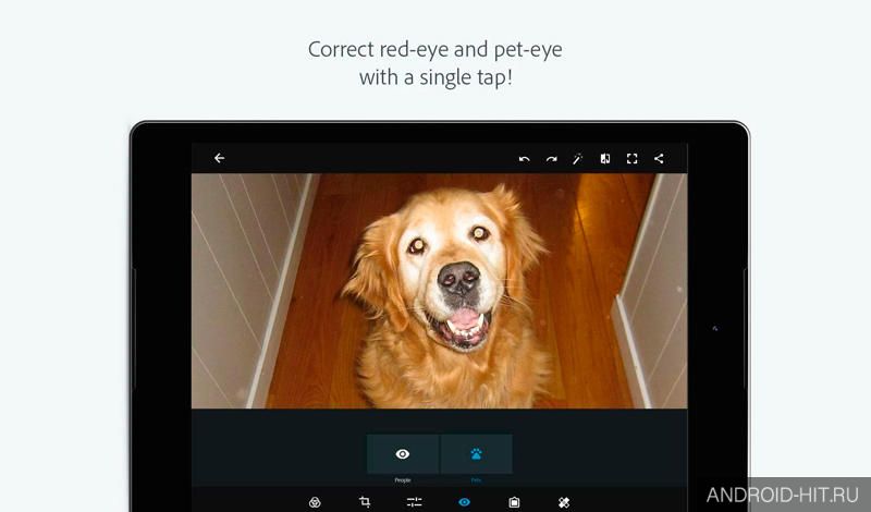 Скриншот Adobe Photoshop Express на андроид Скриншот Adobe Photoshop Express на андроид